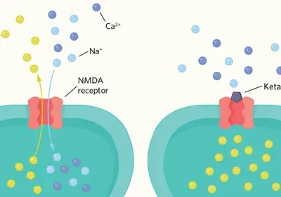anesthesia infographic the scientist
